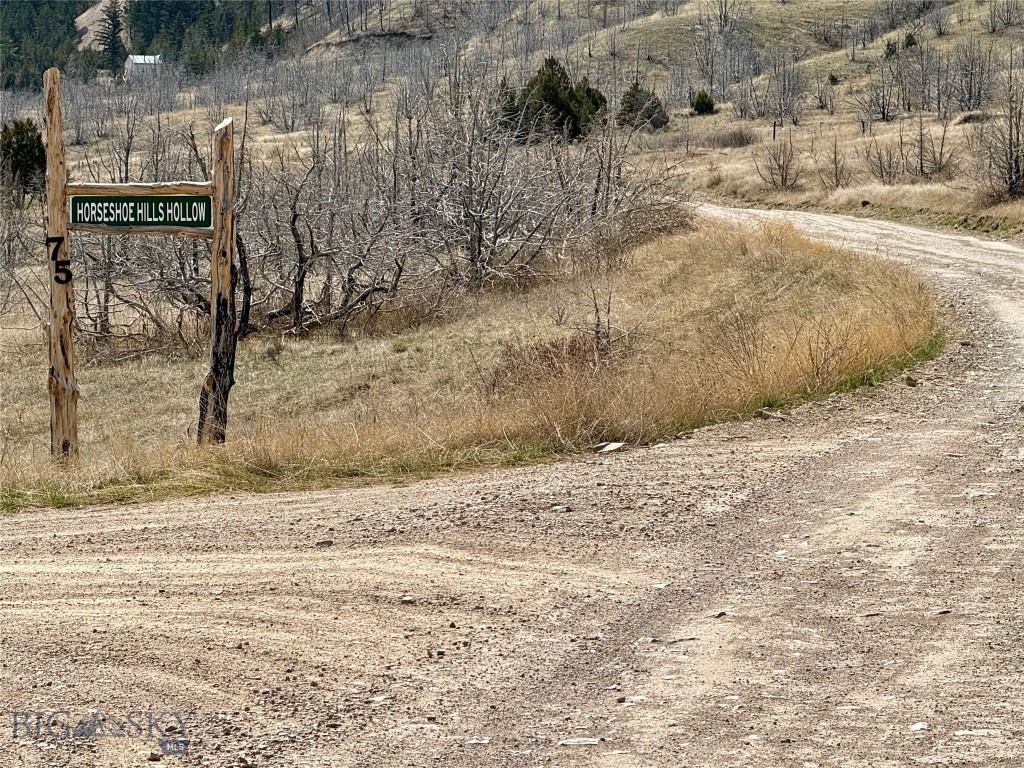 Ponderosa Pines - Residential