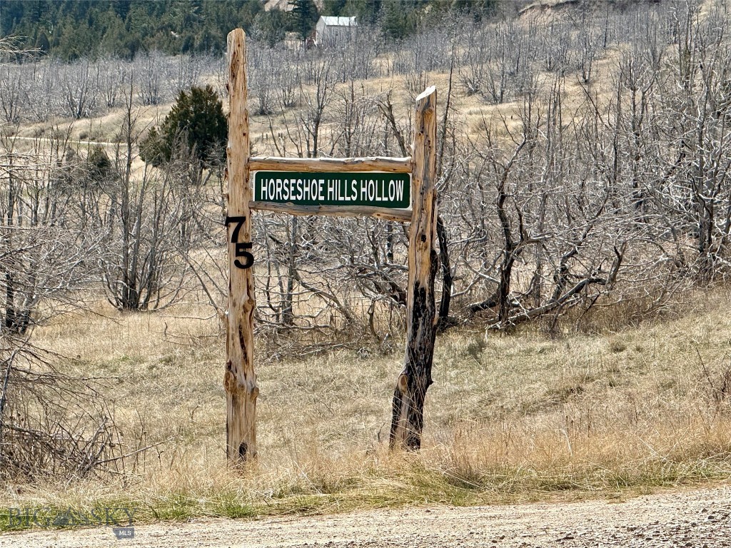 Ponderosa Pines - Residential