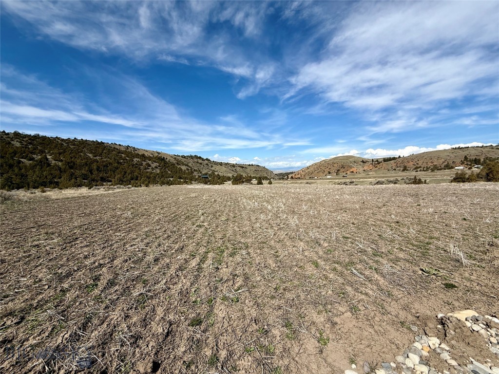 Ponderosa Pines - Residential