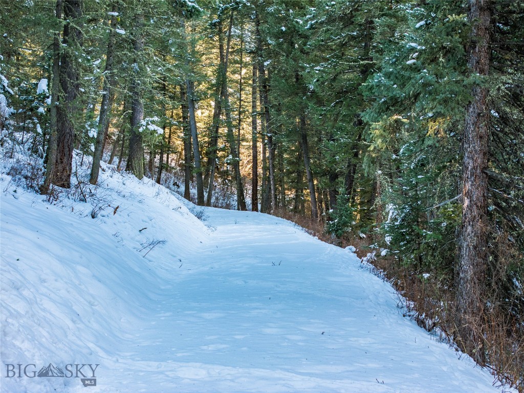 TBD Gallatin Road