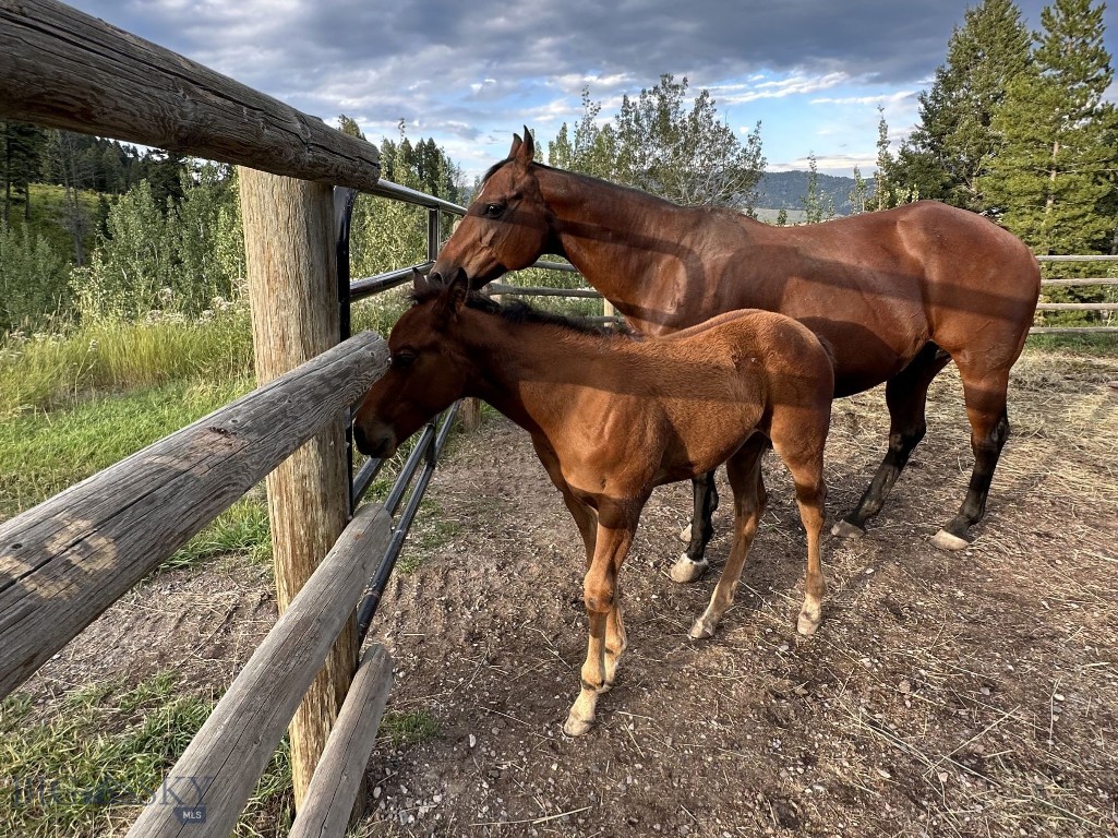 North Pass Ranches - Residential
