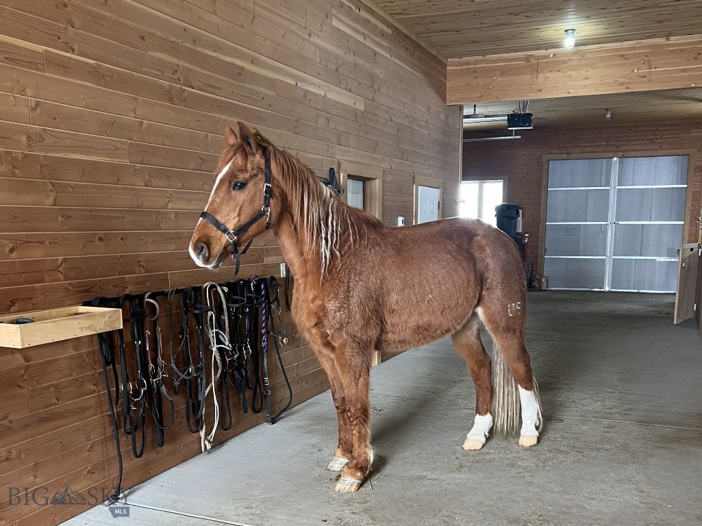 North Pass Ranches - Residential