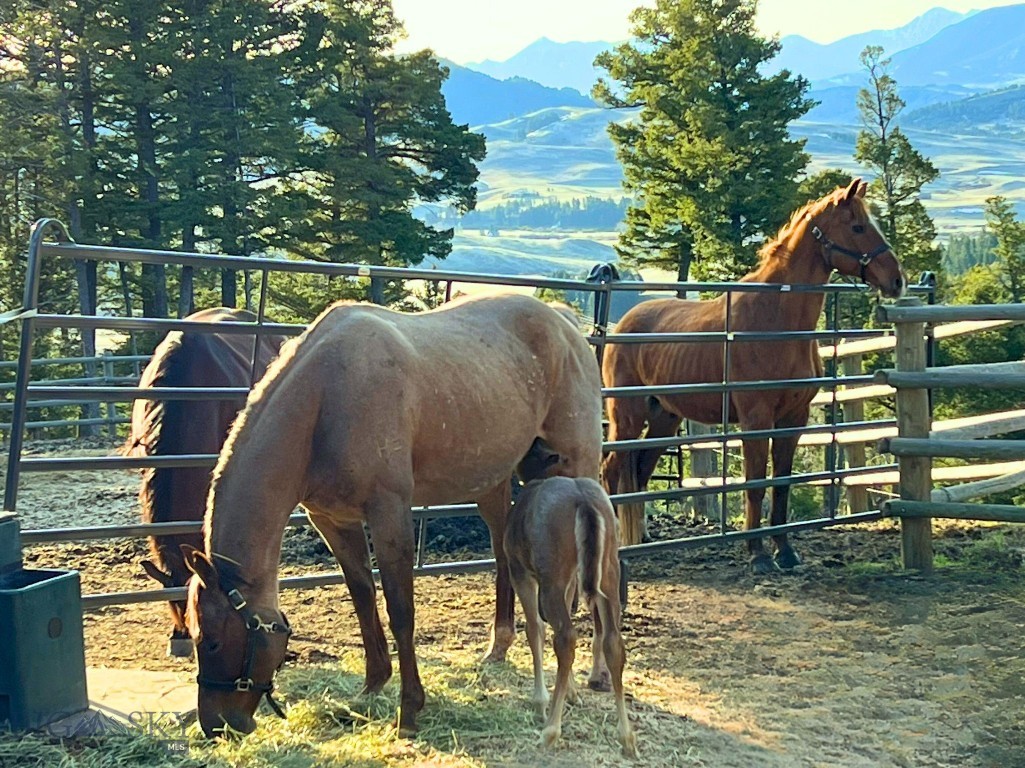 North Pass Ranches - Residential