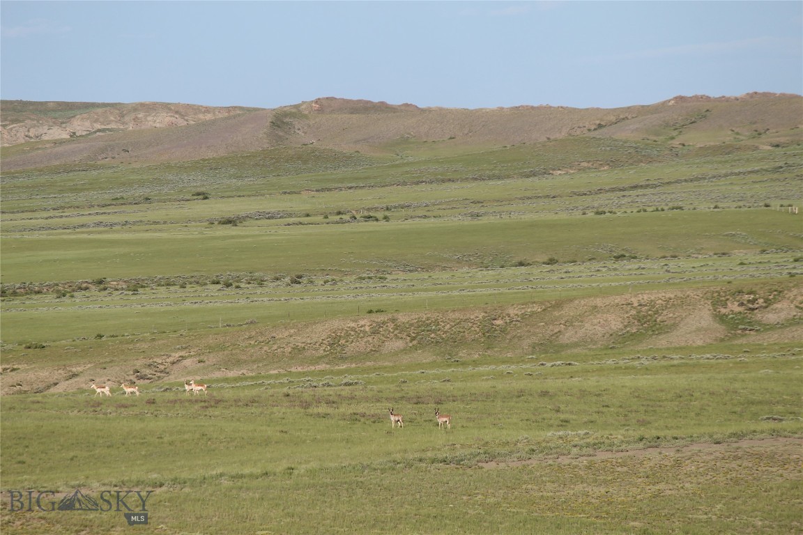 Other - Land