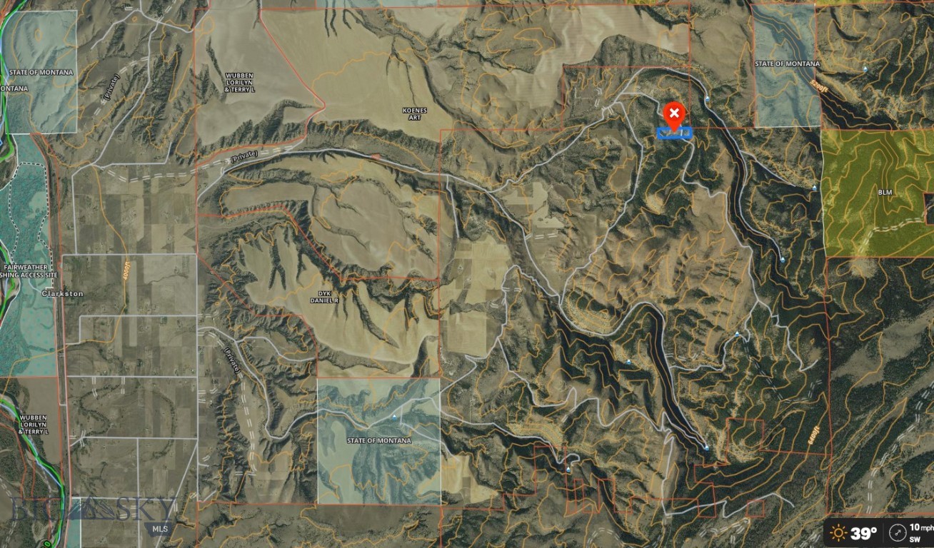 Ponderosa Pines - Land