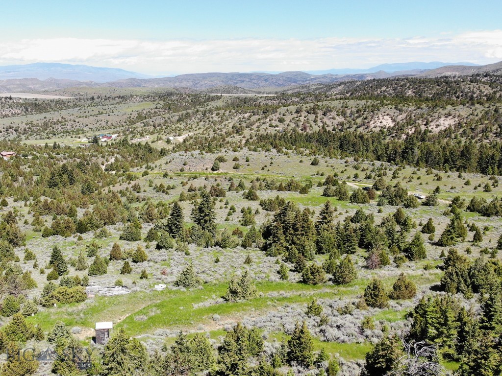 Ponderosa Pines - Land