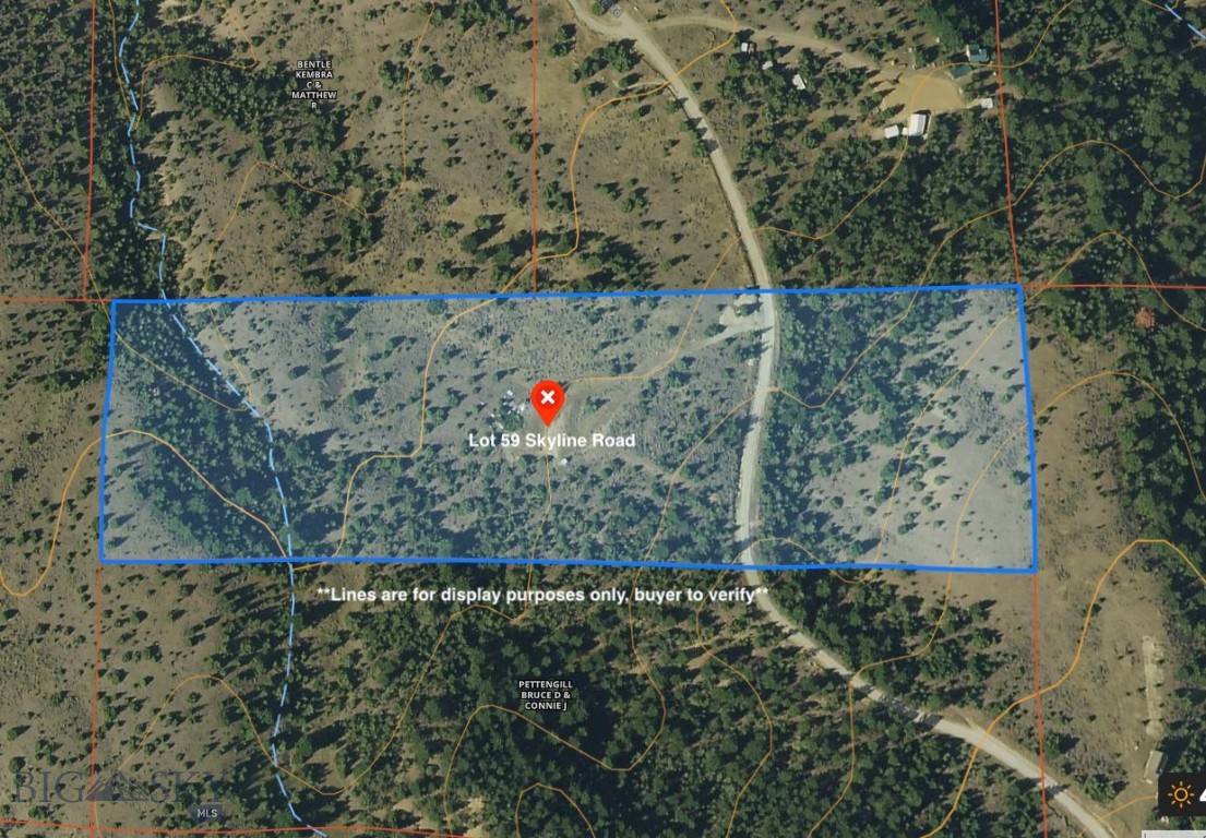 Ponderosa Pines - Land