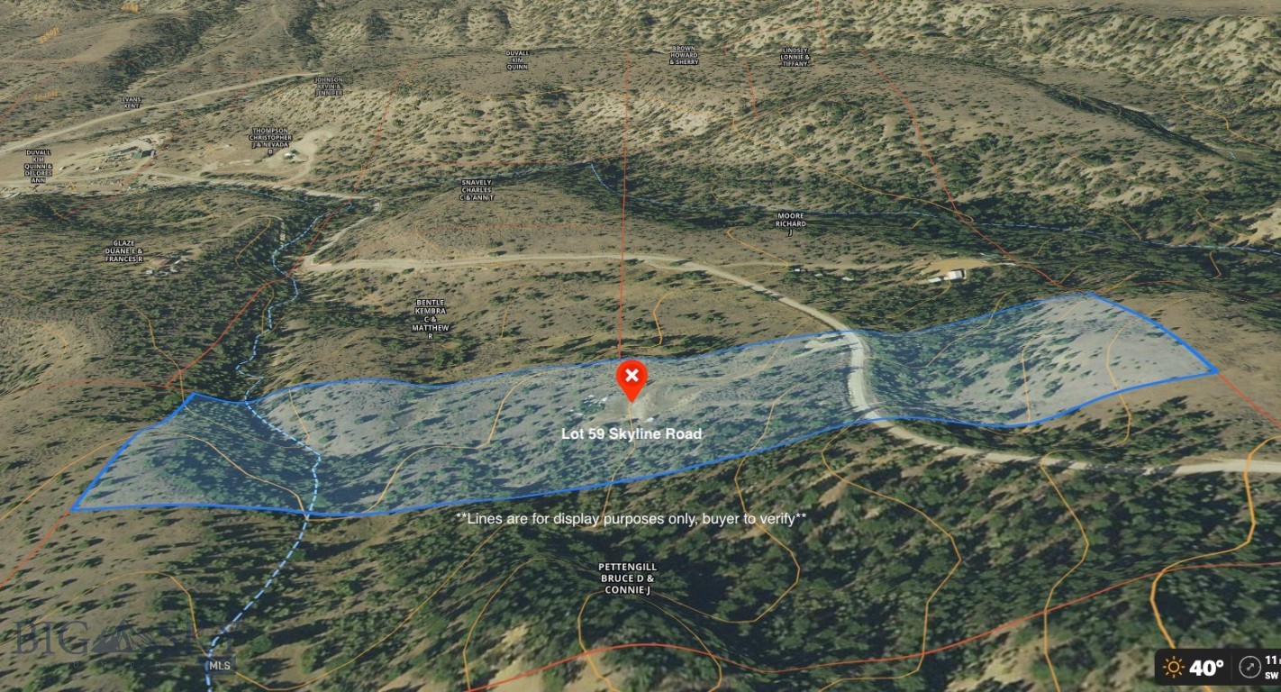 Ponderosa Pines - Land