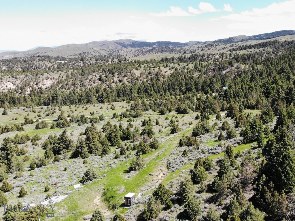 Ponderosa Pines - Land