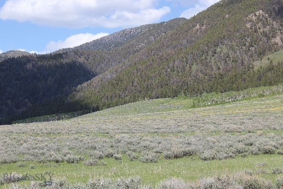 Sportsmans Paradise - Land