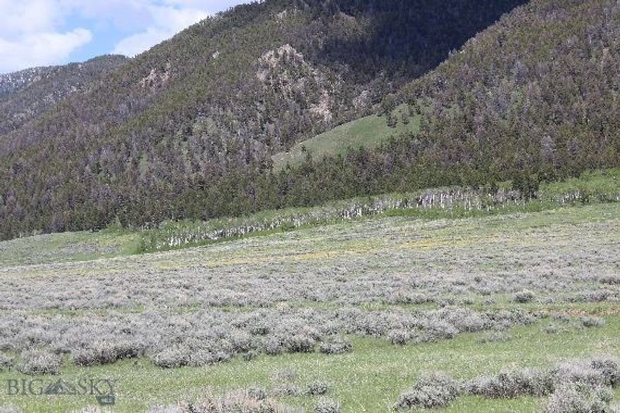 Sportsman's Paradise Lot A54 consists of 20.1 acres bordering National Forest!  It is a great recreational property in the south end of the Madison Valley near quake Lake with easy access to Sheep Creek Canyon area.  Sheep Creek ditch runs through the lots (but there are no water rights with this lot).  Spectacular views near great hunting, fishing, snowmobiling, hiking, trail riding, etc.  Seasonal access except by snowmobile in winter months.  Close to Cliff & Wade Lakes, the famous Madison River, and Yellowstone National Park.  Power is a few lots away and estimated around $10K to hook onto it.  The estimate for extending the road into Lot A55 is $60K.  Or build your off-the-grid cabin and get away from it all!  It adjoins Lot A55, listed for $260,000 (MLS # 405481)