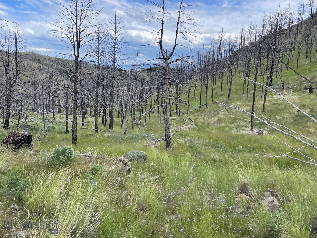 Certificate Of Survey COS - Land