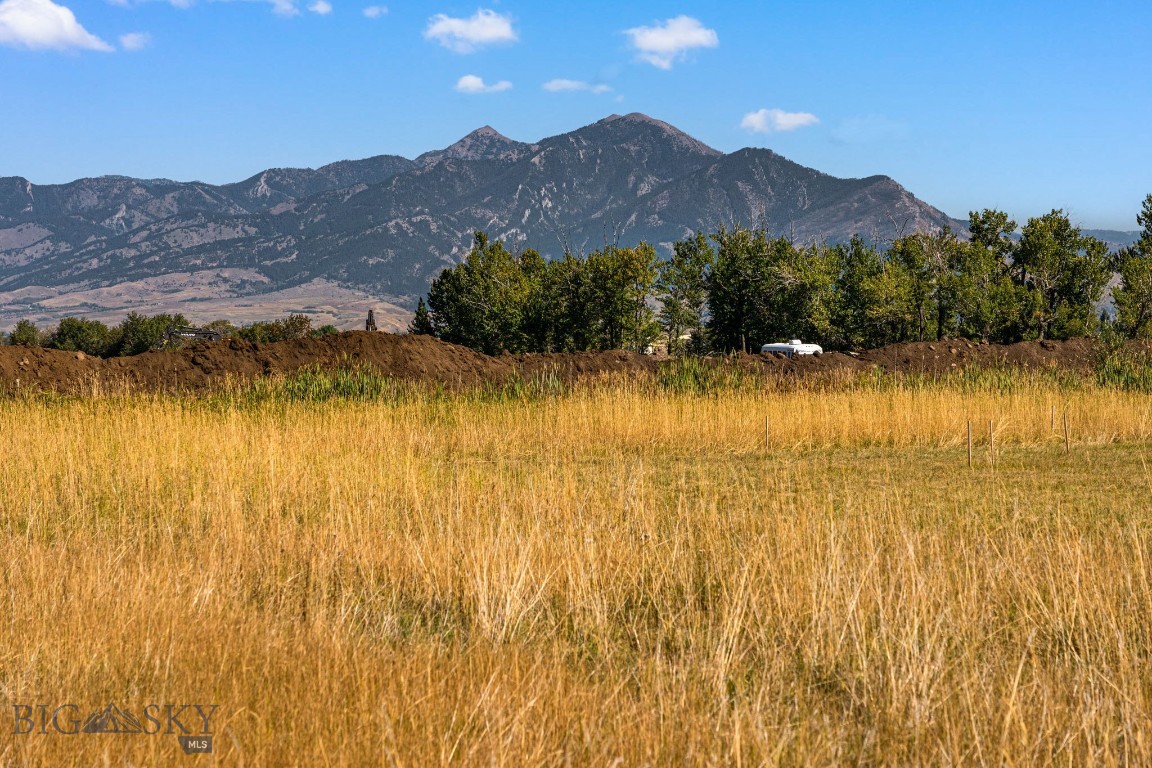 Home 40 - Land