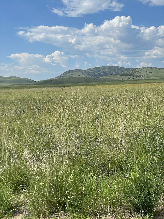 Colters Run - Residential