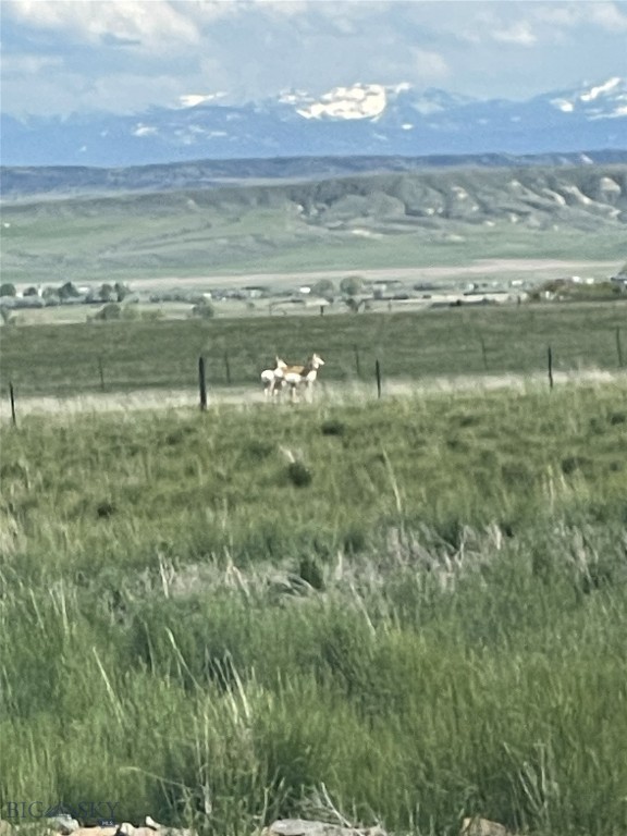 Colters Run - Residential