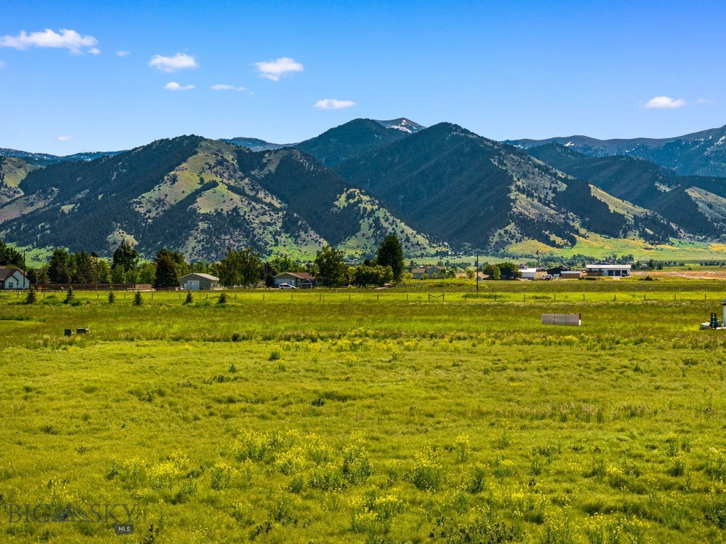 Minor Subdivision - Land