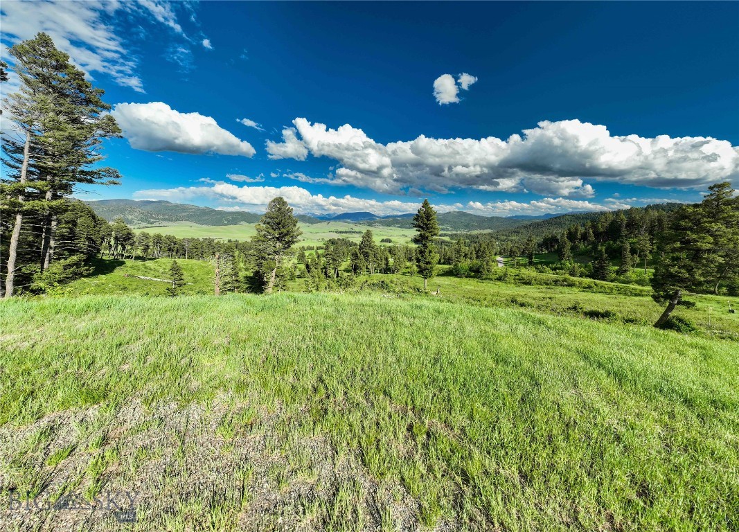 North Pass Ranches - Land