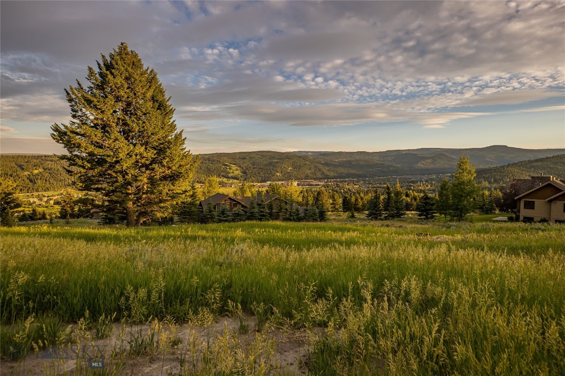 Sweetgrass Hill - Land