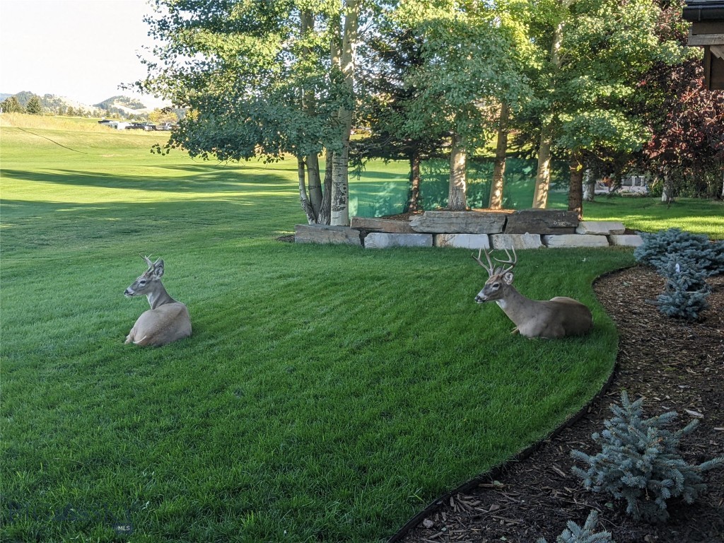 Bridger Creek in Bozeman - Residential