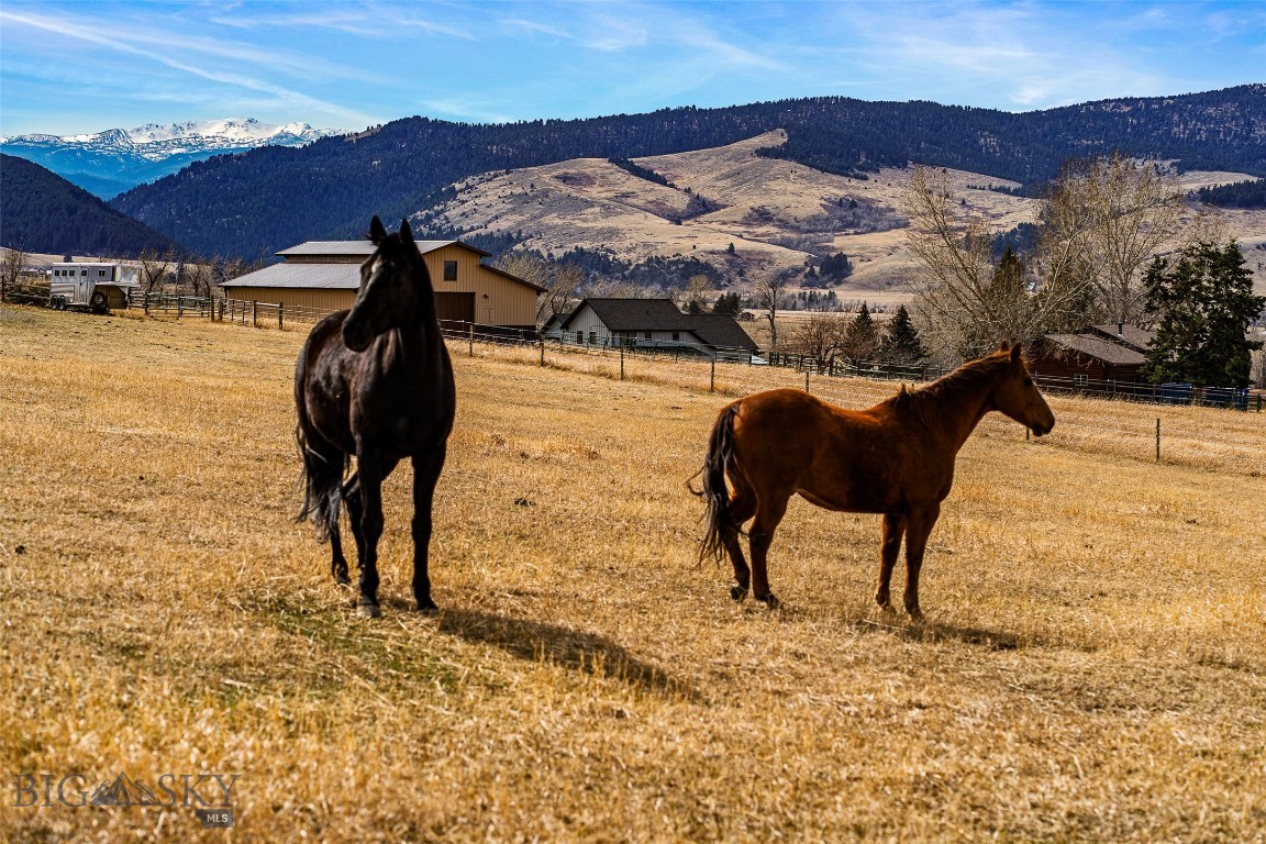 Bear Creek Properties - Residential