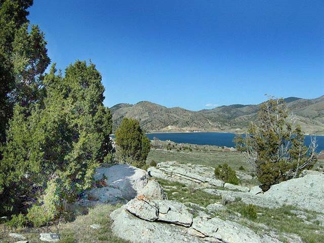 TBD Garden Creek Road Hills