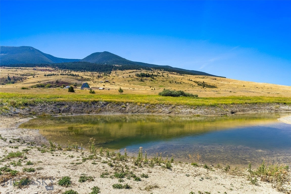 39 Sweetgrass