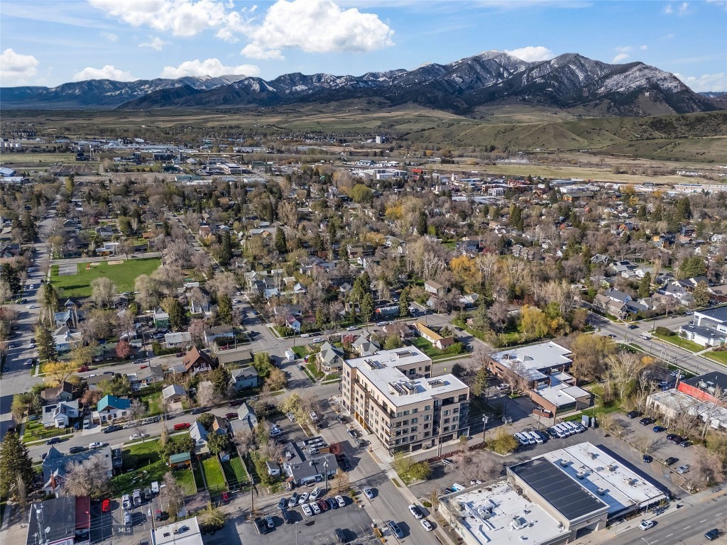 Bozeman Original Plat - Residential