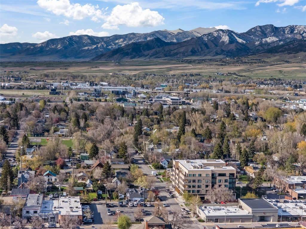Bozeman Original Plat - Residential