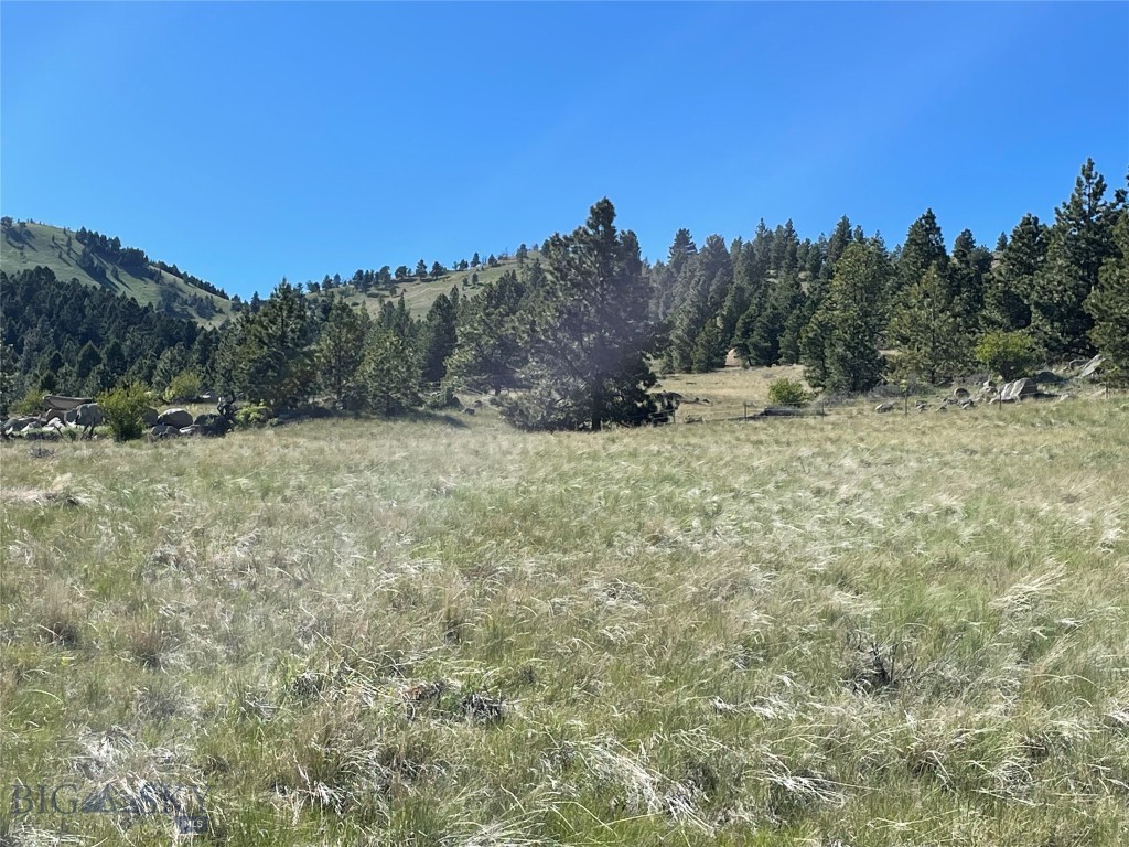 Minor Subdivision - Land