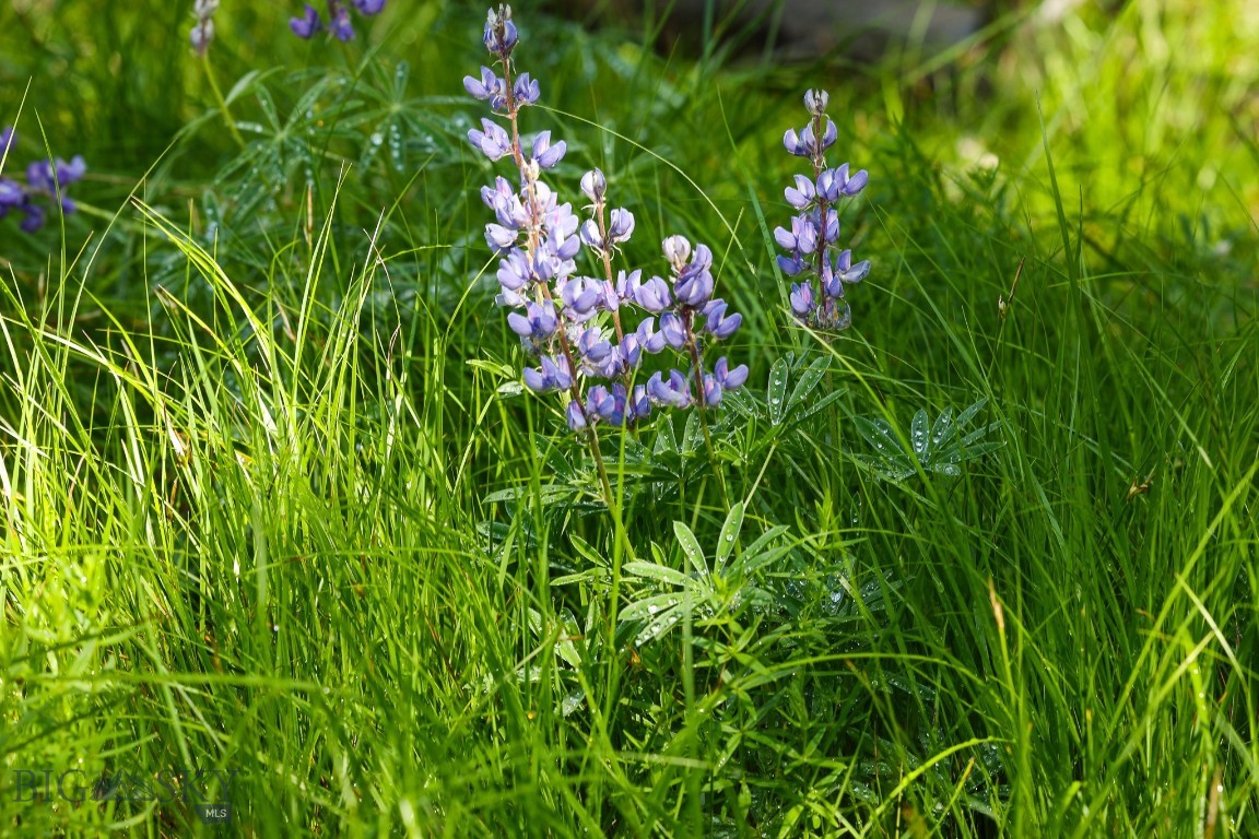 Ranches Neighborhood - Land