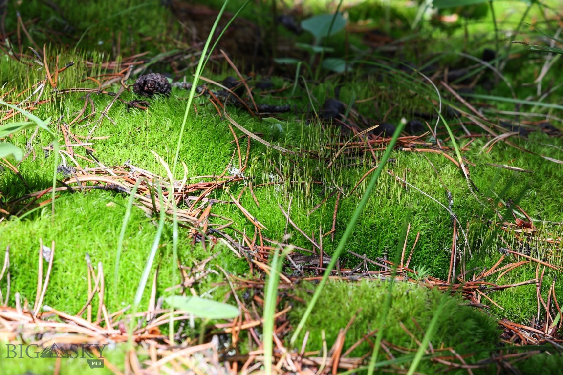 Ranches Neighborhood - Land