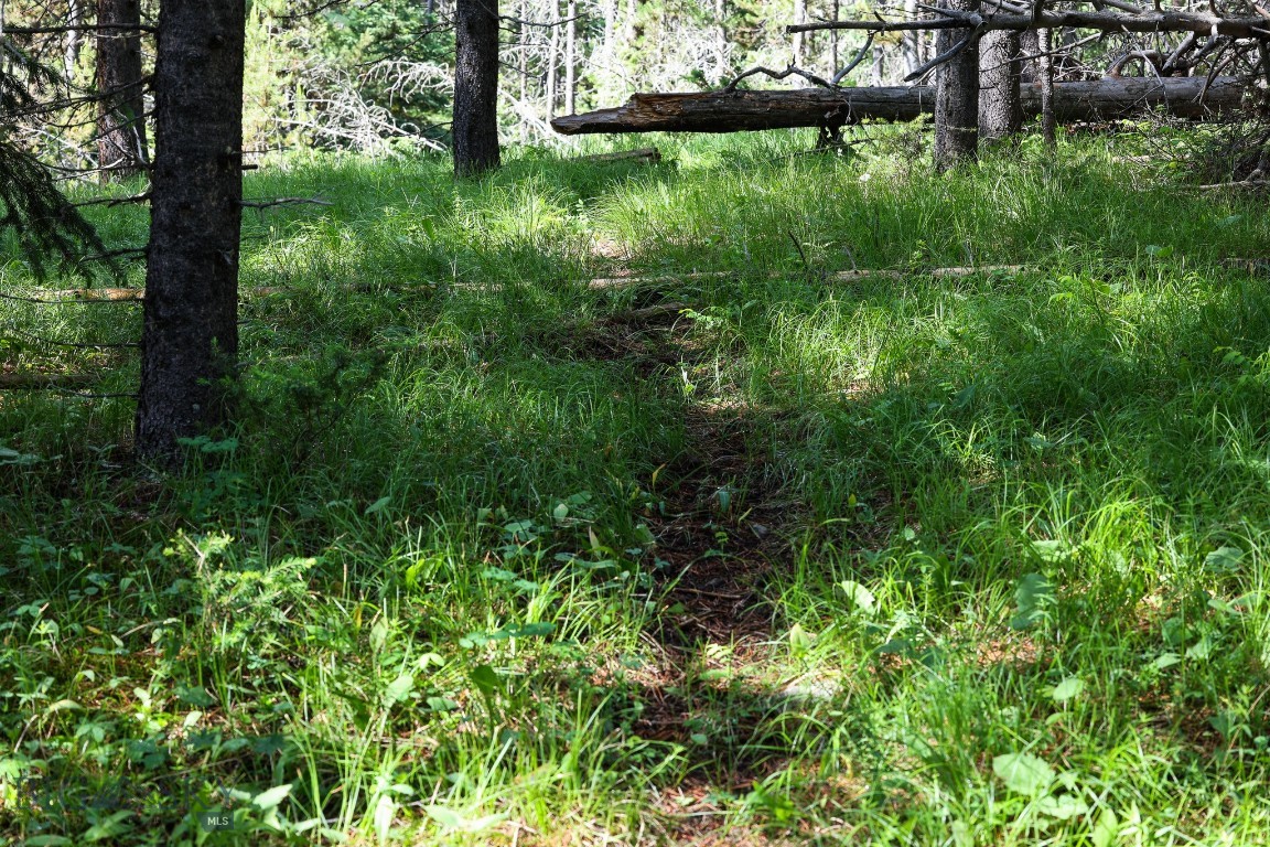 Ranches Neighborhood - Land