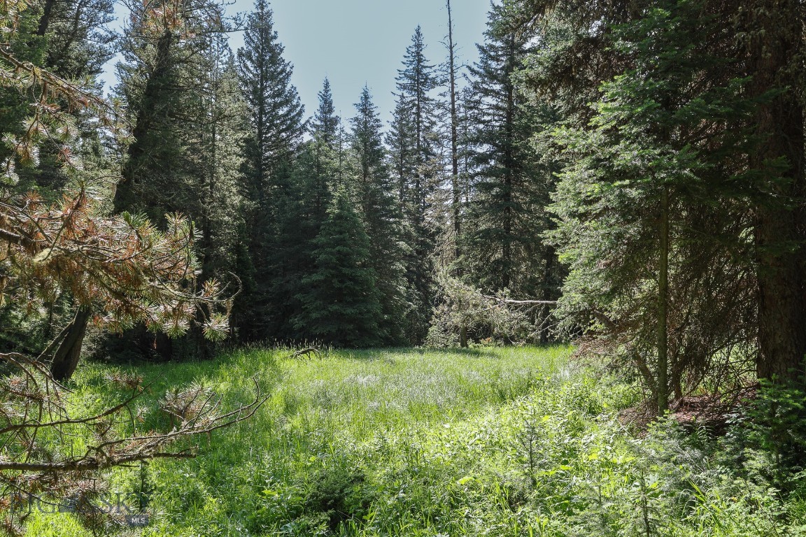 Ranches Neighborhood - Land