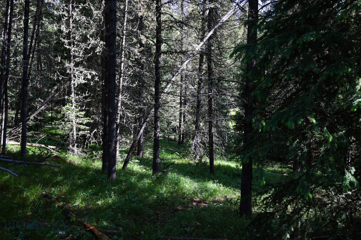 Ranches Neighborhood - Land