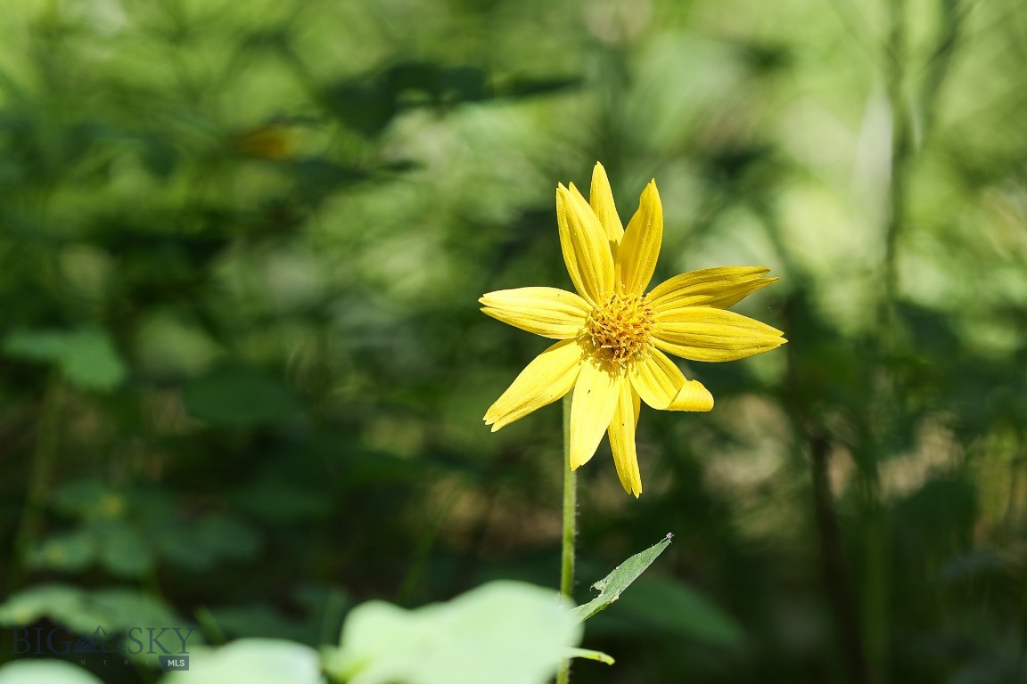 Ranches Neighborhood - Land