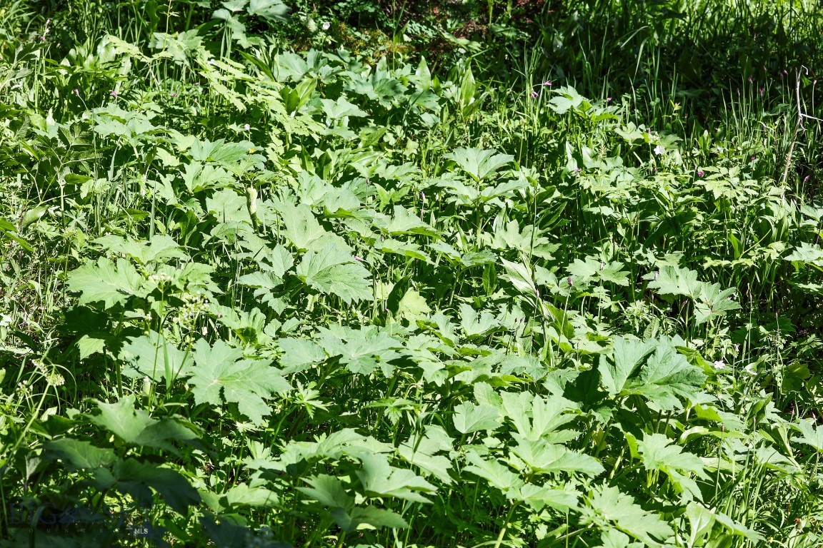 Ranches Neighborhood - Land