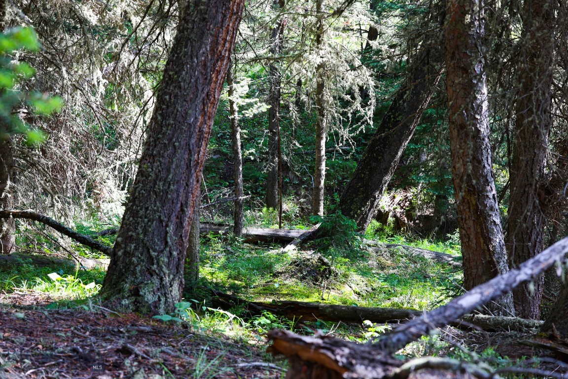 Ranches Neighborhood - Land