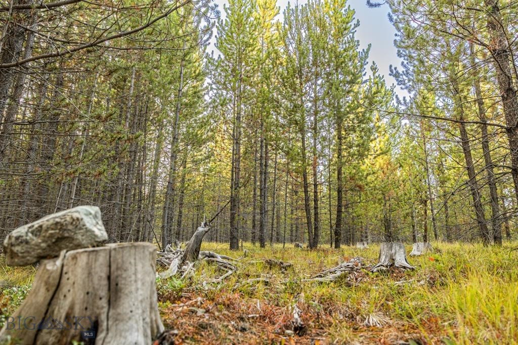 Minor Subdivision - Land