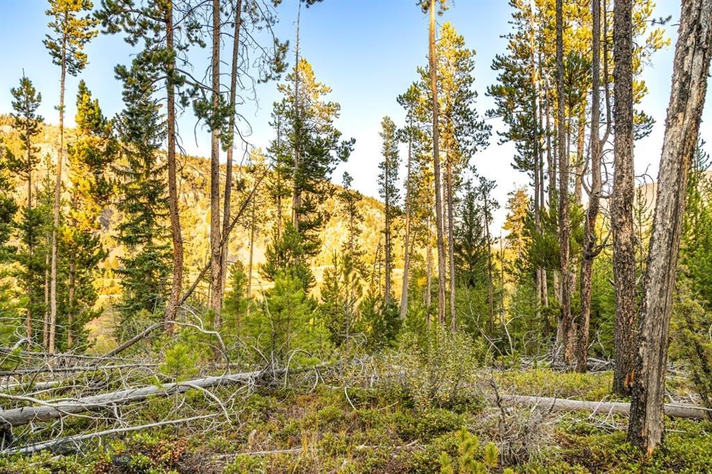 Minor Subdivision - Land