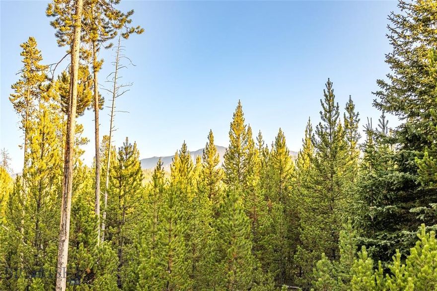 Reduced! Views of Mt Haggin and the water! This 6.26-acre parcel offers the perfect gateway to the Montana mountain lifestyle — private, peaceful, and surrounded by adventure. With a mix of rolling terrain, aspens and mature timber, plus underground power at the lot line, & a partial driveway, it’s an ideal setting for a home, cabin, weekend retreat, or investment property. 

A short walk from the lot, you’ll find direct access to National Forest — ideal for hiking, wildlife watching, and year-round recreation. Across the road, explore an 8-acre public parkland featuring meandering trails, a bubbling stream, benches, and a tranquil beaver pond.

Abundant wildlife — deer, elk, moose, black bears, beavers, and a chorus of native songbirds. With county-maintained roads, access is reliable in all seasons. Only 10 minutes to Georgetown Lake, 15 minutes to Old Works Golf Course, and 20 minutes to Discovery Ski Area, this lot offers everyday access to the best of Montana’s great outdoors.