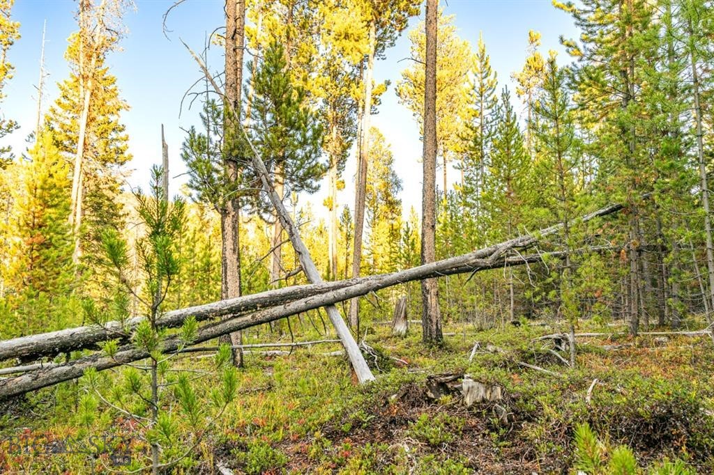 Minor Subdivision - Land