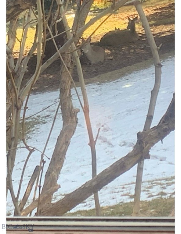 Highwood Est condo - Residential