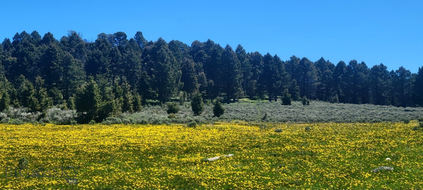 Other - Land