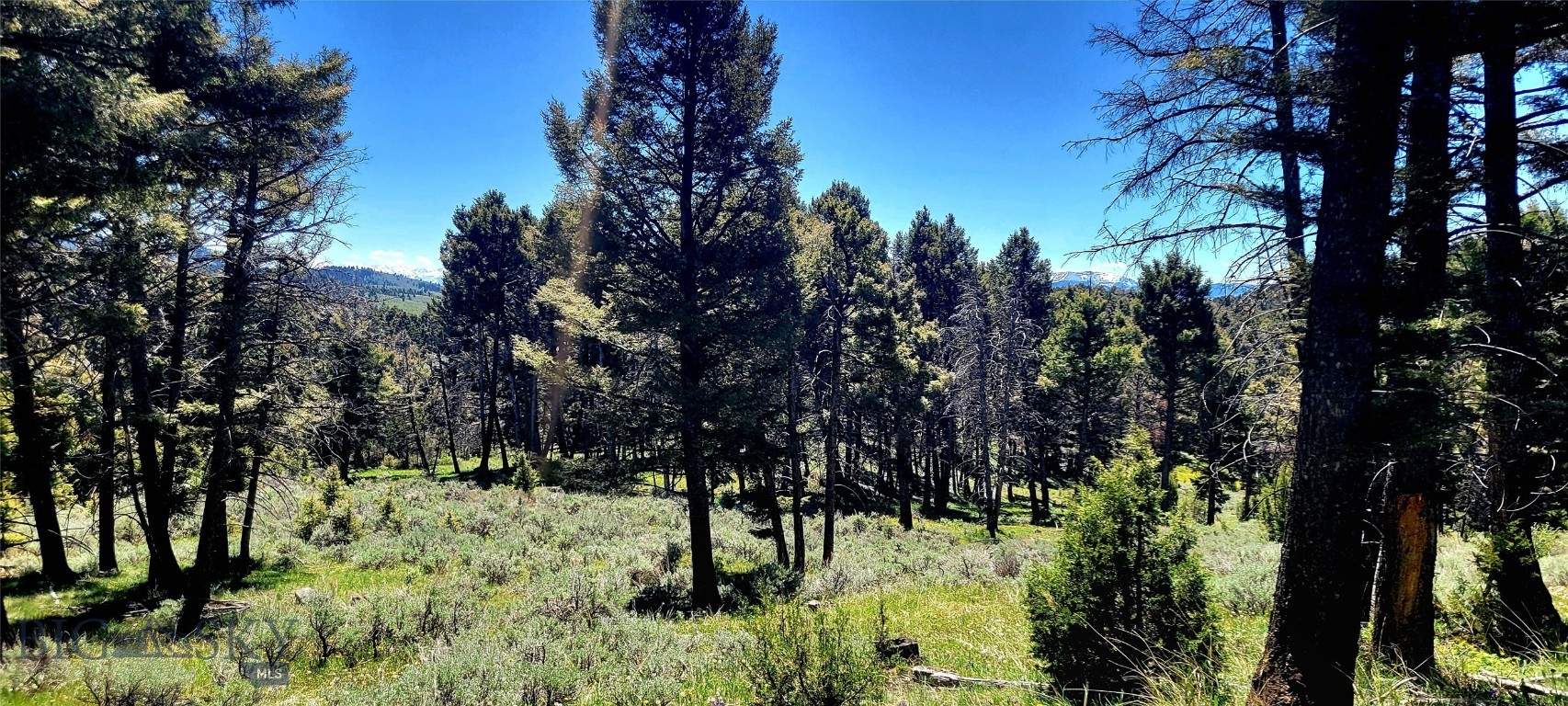 Other - Land