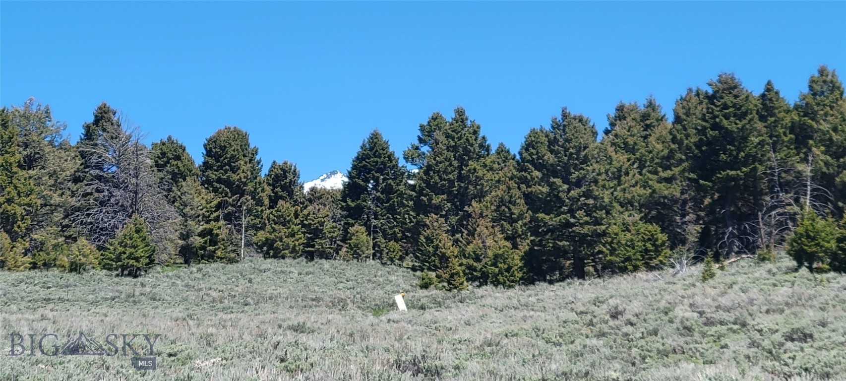 Other - Land