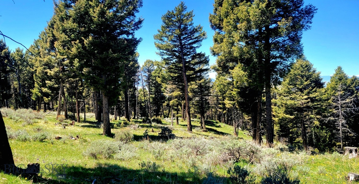 New SW Montana 21 acres with Forest Service access. - Discover your slice of paradise in Southwest Montana! Rare and secluded, this 21-acre haven offers direct access to the forest service, inviting you to explore nature's wonders at your doorstep. Embrace outdoor living with endless recreational possibilities. Secluded yet accessible, it's the perfect canvas for your dream retreat. Located in the Tobacco Root Mountains between Sheridan and Alder Montana this property has great county road access, continuing to the Forest Service Roads. Or one can acquire this 21.09 acre tract 4A or both tracts (4A & 3A) that total 42 .15 acres. These offering have meadows, pine trees and spectacular views abound from the Tobacco Root Mountains overlooking the Ruby River Valley. Located in 320 big game hunting district. Elk and Deer hunting district 322 is just out you back door of you future cabin.
So whether you desire a Cabin or a Seasonal Home for Hunting, Cross Country Skiing or just enjoying the great out-of-doors, you’ll certainly find this a great place to just Rest and Relax. Endless, nearby recreational opportunities exist- Snowmobiling, Side X Sides, 4-Wheelers, Hiking, Horseback Ricing, Camping, Biking, and Hunting.
Bivens Creek Range Road is a seasonally well maintained County Road right to the Forest Service Boundary.
Property taxes estimated <$100.
Don't miss the chance to own this hidden gem in the heart of Montana's wilderness.
4A – 21.09 Acres with access to Forest Service Lands offered at $240,000
also offered is:
Parcels 3A & 4A - 42.15 Acres—adjacent to F S Lands offered at $469,000.
Call for Showing or more Information!