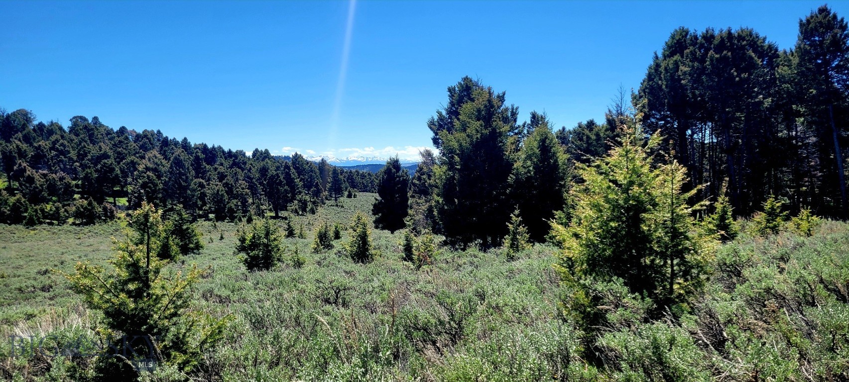 Other - Land