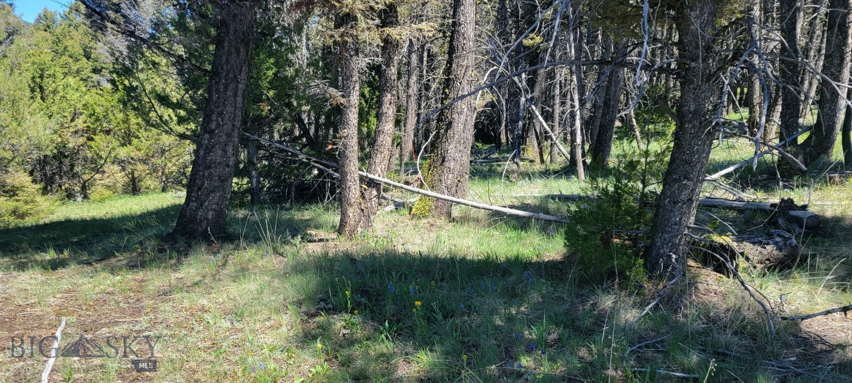 Other - Land