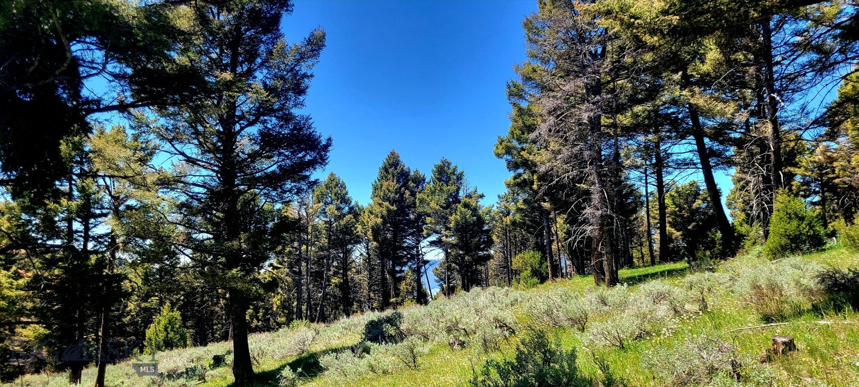 Other - Land