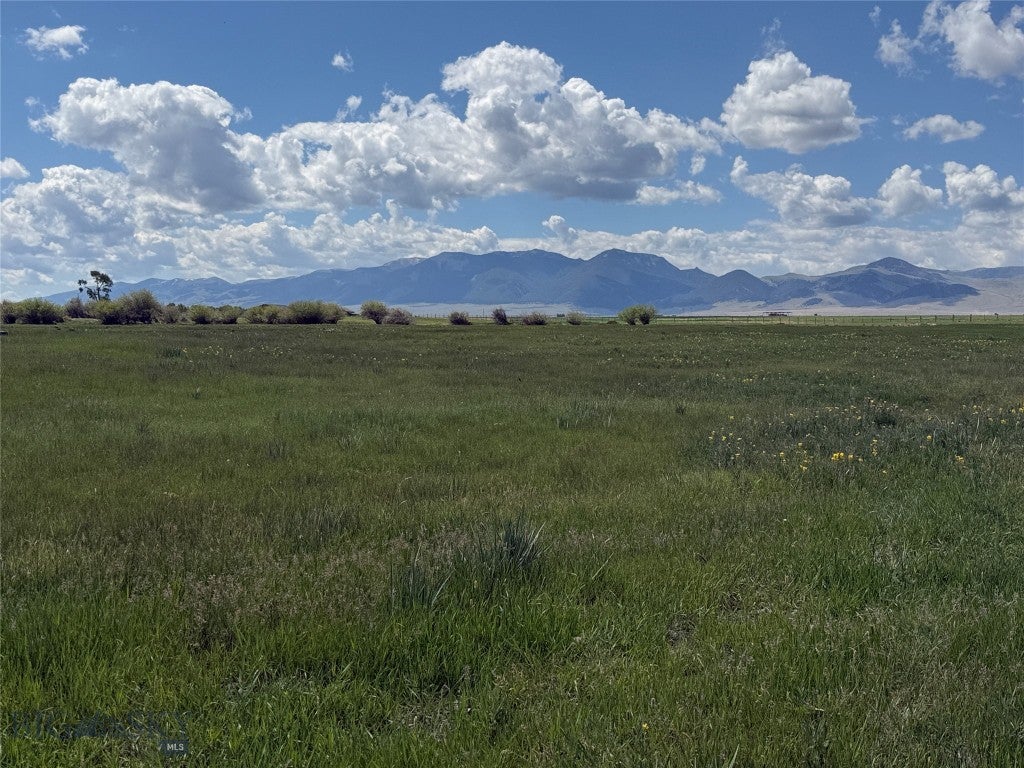 TBD Blacktail Rd